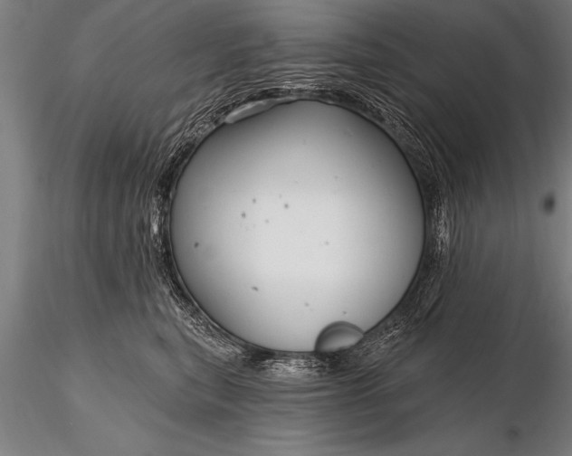 X0000116160567200912141223