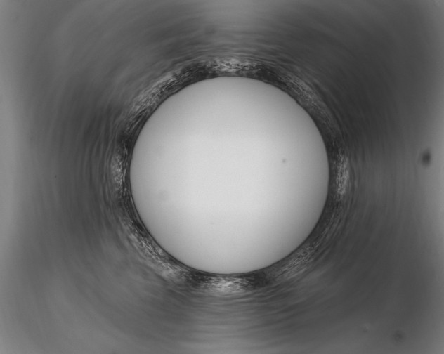 X0000116160569200912141223