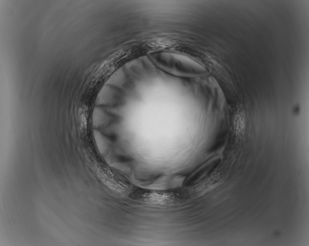 X0000116160570200912141223