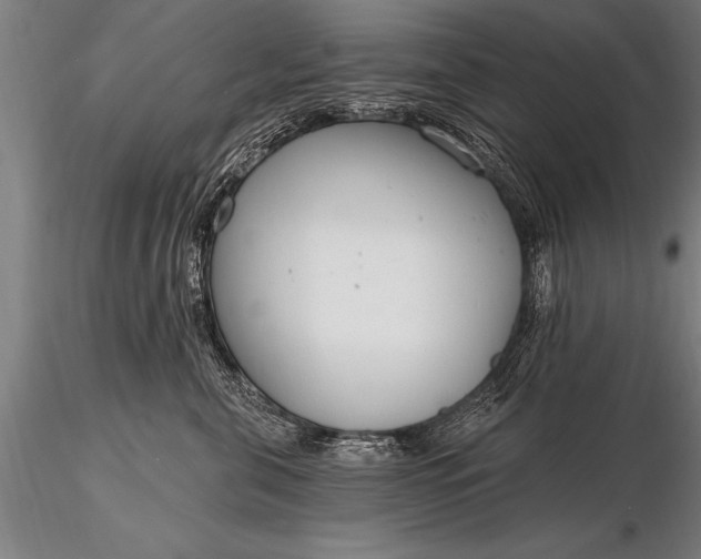 X0000116160571200912141223