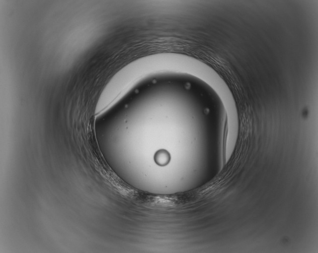X0000116160573200912141223