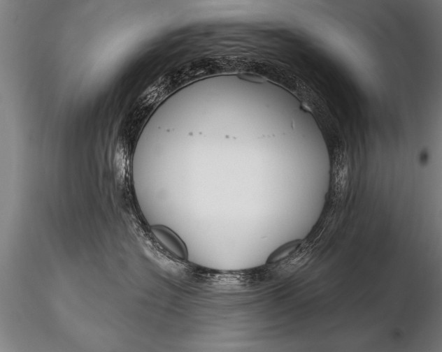 X0000116160574200912141223
