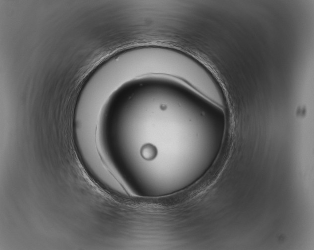X0000116160577200912141223