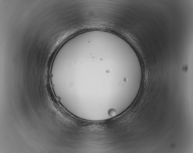 X0000116160578200912141223