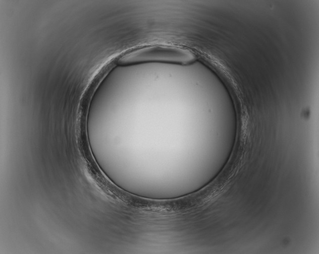 X0000116160580200912141223