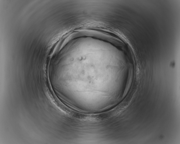 X0000116160581200912141223