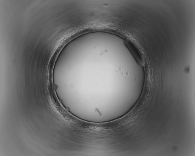 X0000116160582200912141223