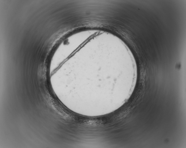 X0000116160584200912141223