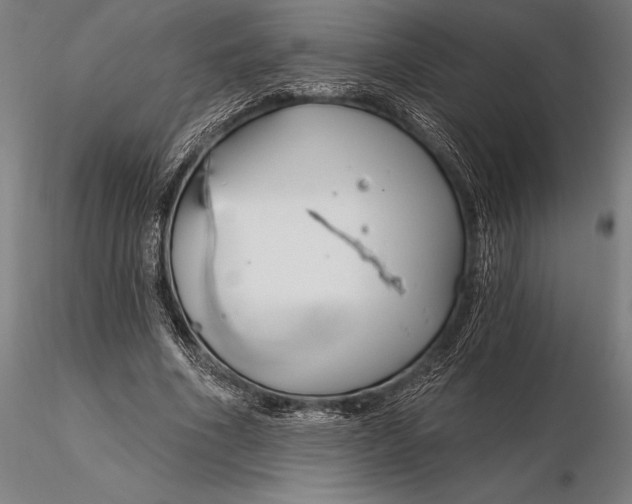X0000116160586200912141223