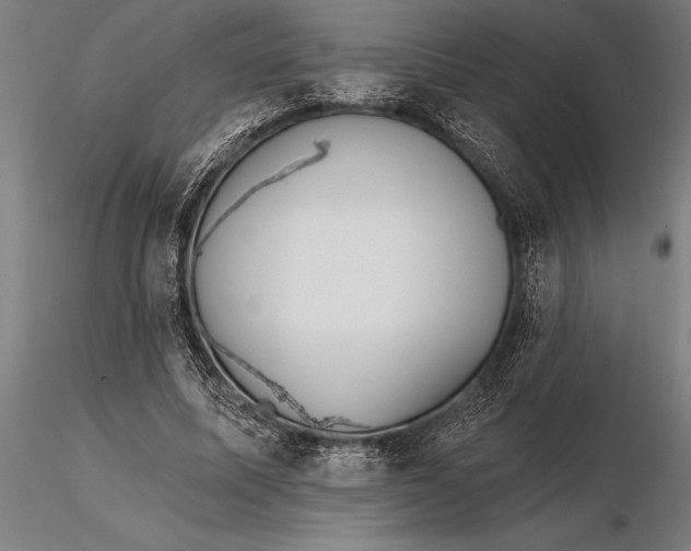 X0000116160587200912141223
