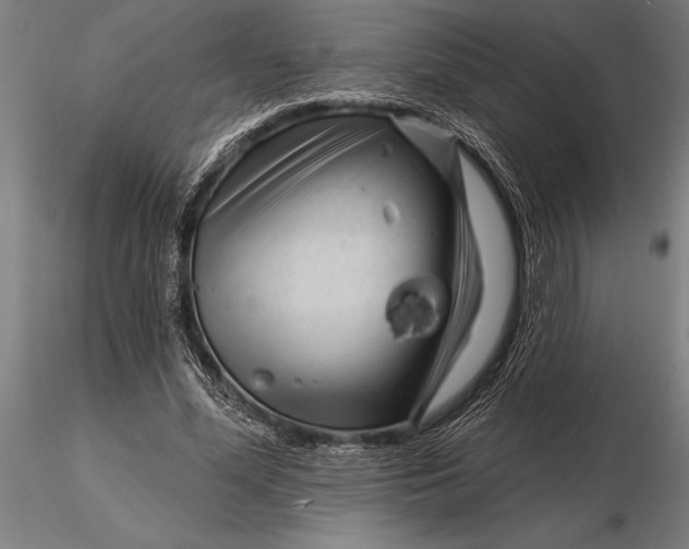X0000116160588200912141223