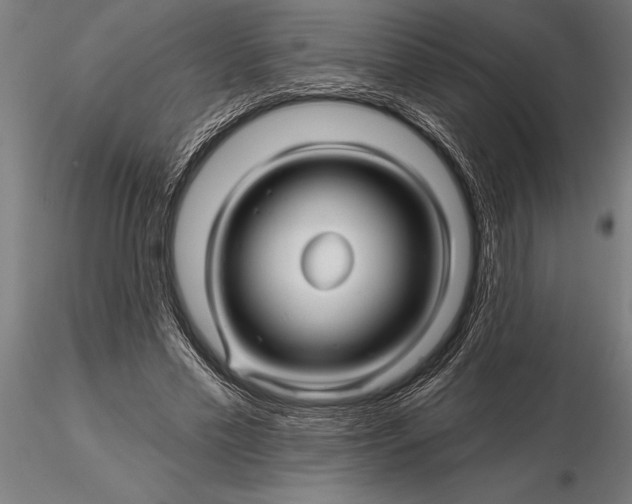 X0000116160589200912141223