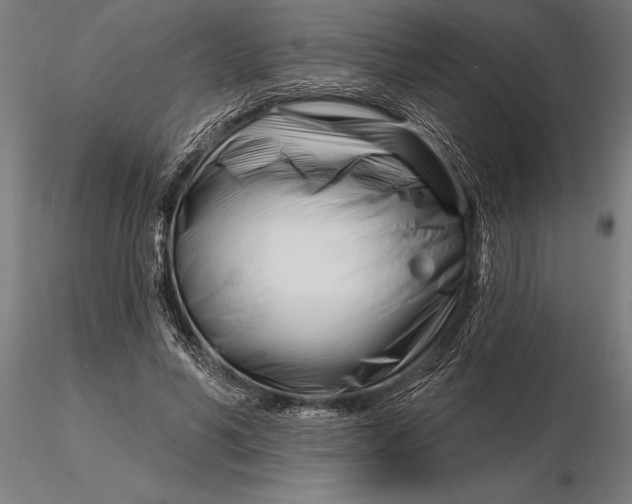 X0000116160590200912141223
