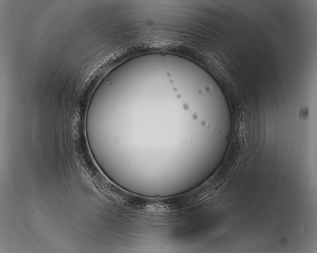 X0000116160591200912141223