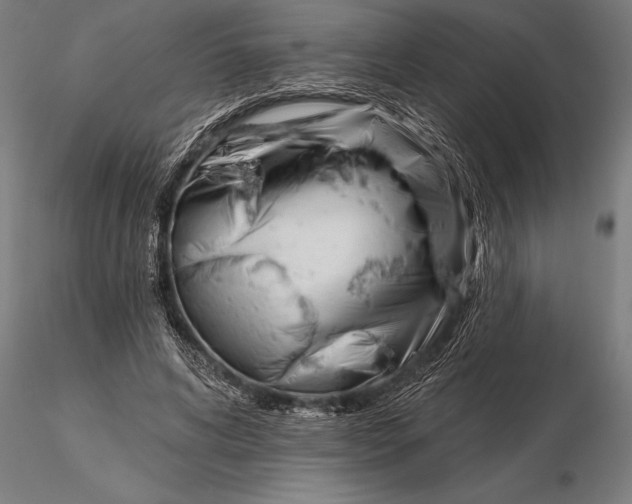 X0000116160592200912141223