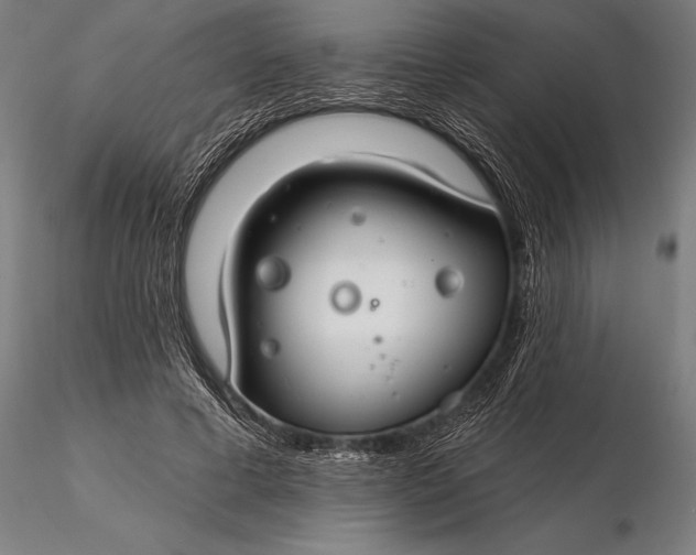 X0000116160593200912141223