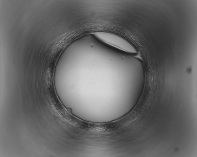 X0000116160594200912141223
