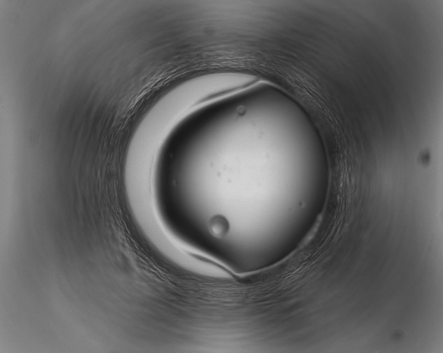 X0000116160595200912141223