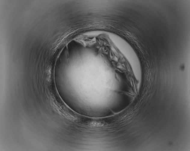 X0000116160596200912141222