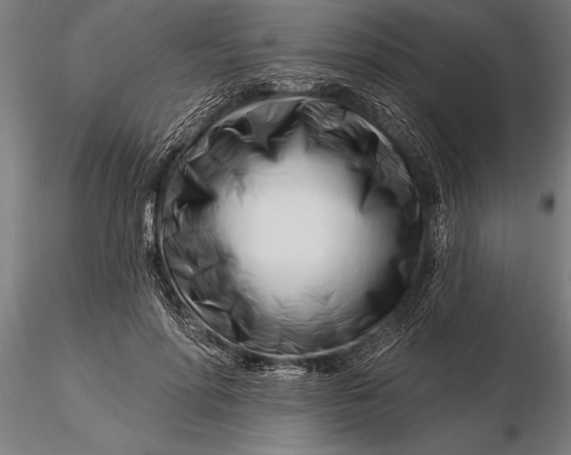 X0000116160598200912141222