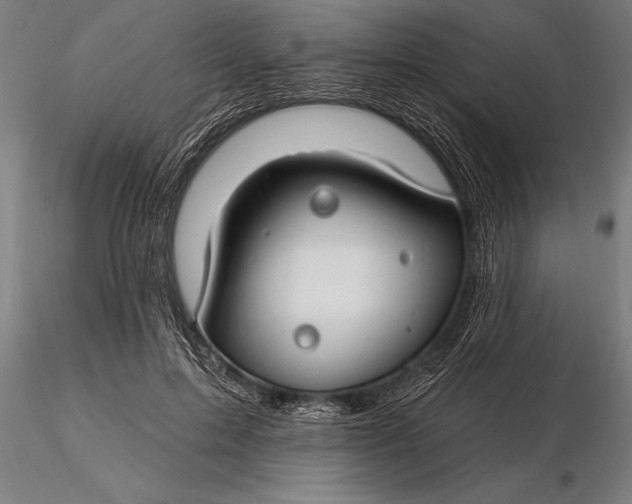 X0000116160599200912141222