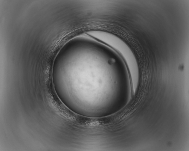 X0000116160600200912141222