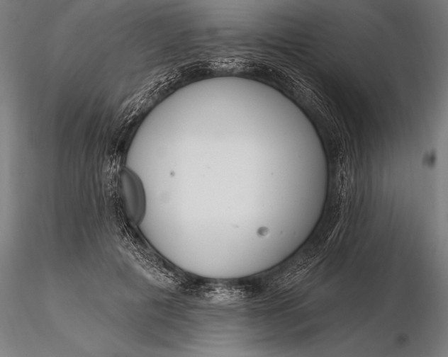 X0000116160601200912141222