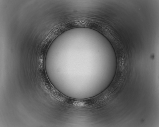 X0000116160602200912141222