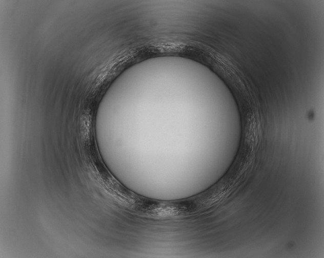 X0000116160604200912141222