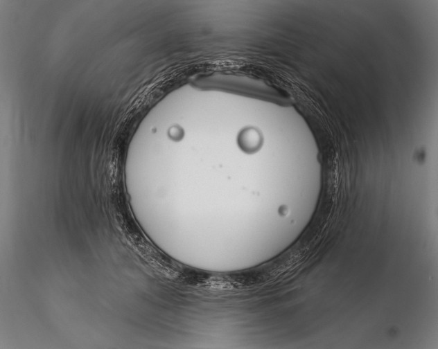 X0000116160608200912141222