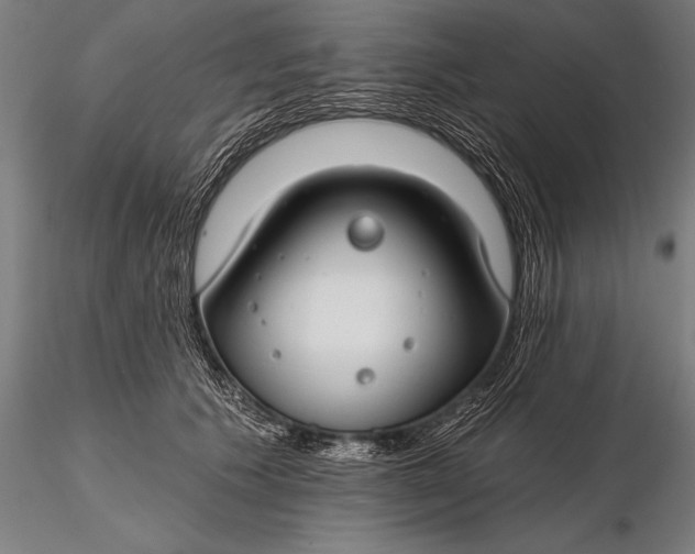 X0000116160609200912141222