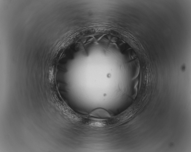 X0000116160610200912141222