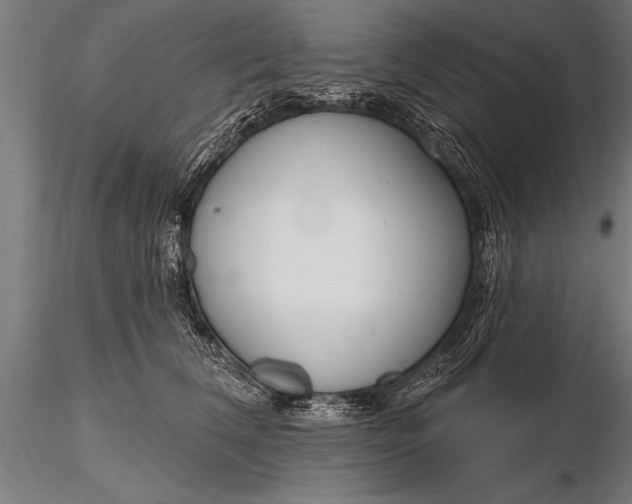 X0000116160612200912141222