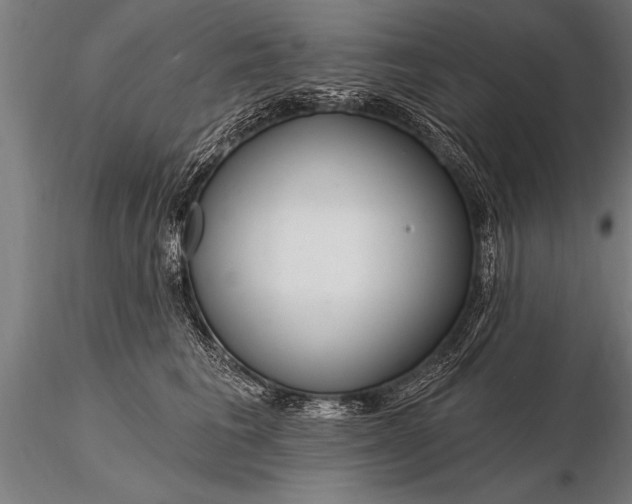 X0000116160613200912141222