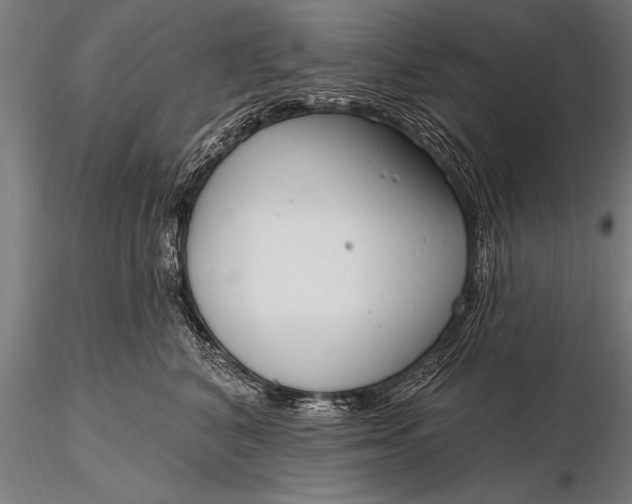 X0000116160616200912141222