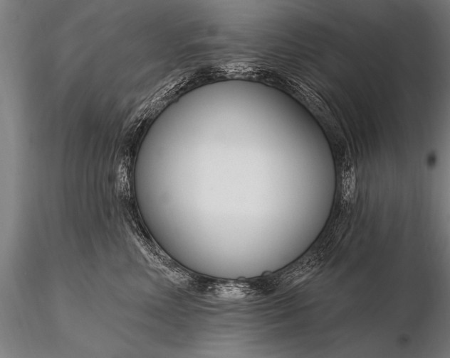 X0000116160618200912141222