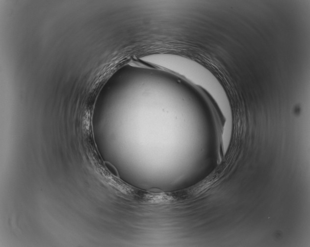 X0000116160621200912141222