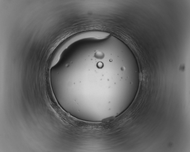 X0000116160626200912141221