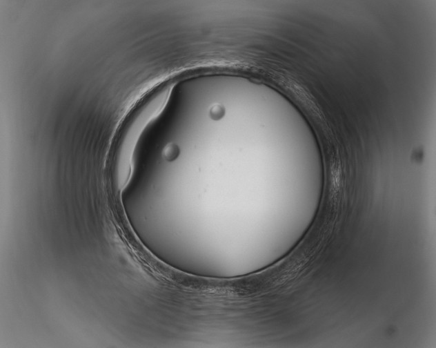 X0000116160628200912141221