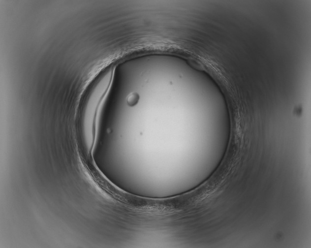X0000116160630200912141221