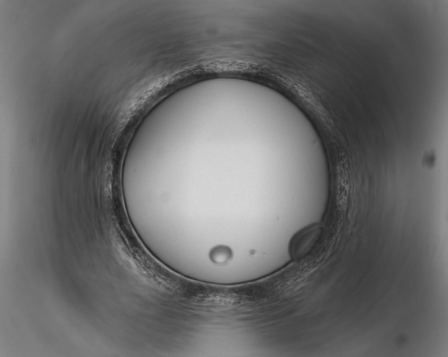 X0000116160631200912141221