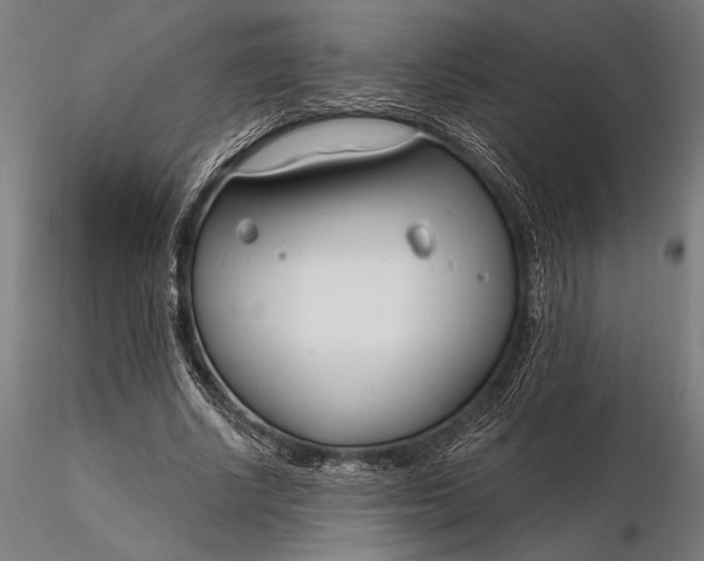 X0000116160634200912141221