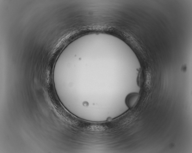X0000116160636200912141221