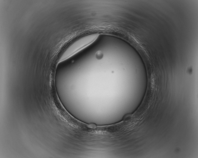 X0000116160637200912141221