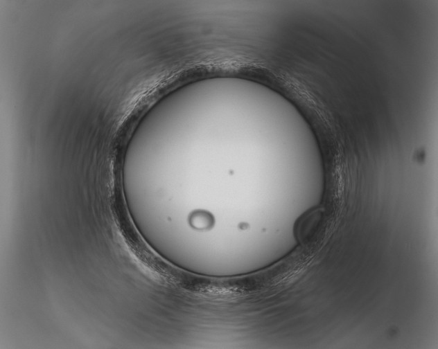 X0000116160638200912141221