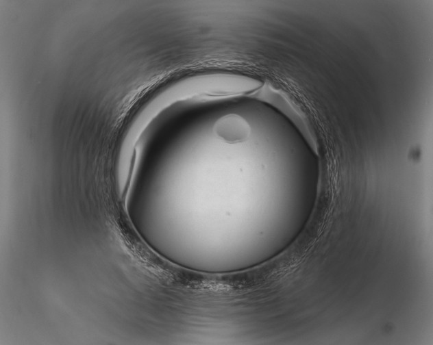 X0000116160640200912141222