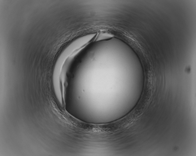 X0000116160641200912141222