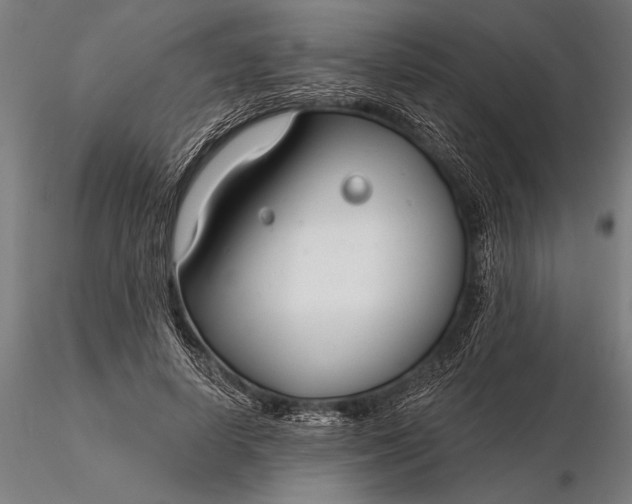 X0000116160642200912141222