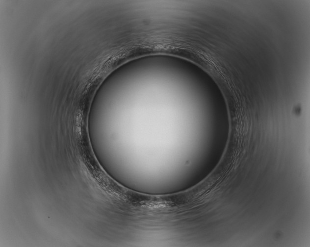 X0000116160643200912141222