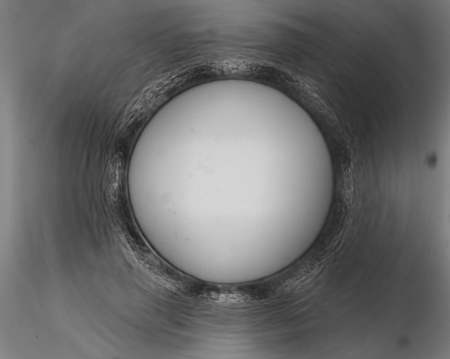 X0000116160645200912141222